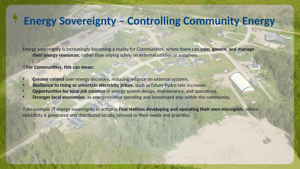Forest landscape background with bullets on community energy control.