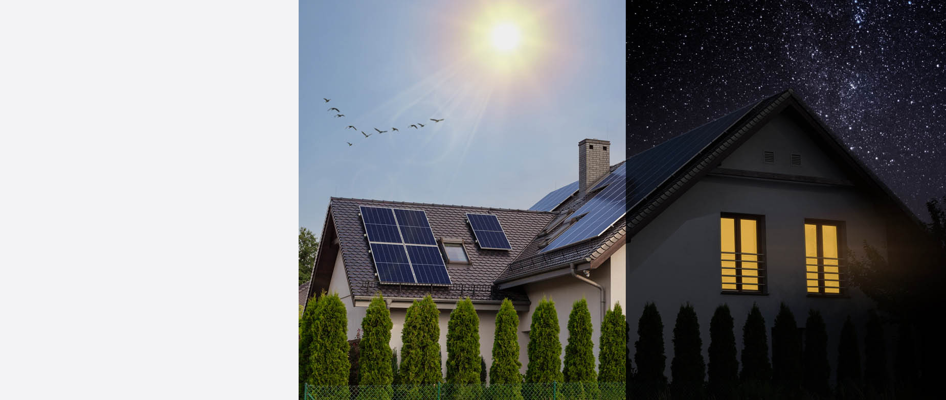 Whole Home vs. Partial Home Backup