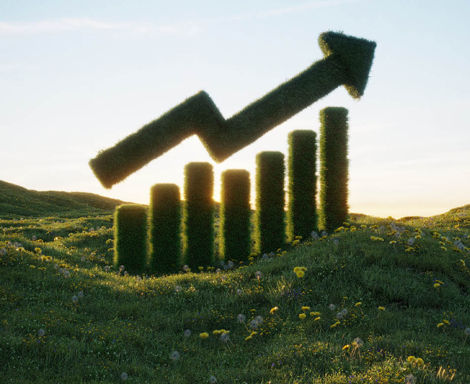 Making Money with Demand Response Programs