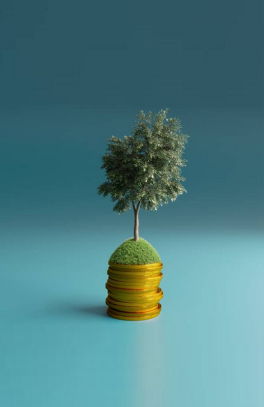 How did you look for funding opportunities for Solar?