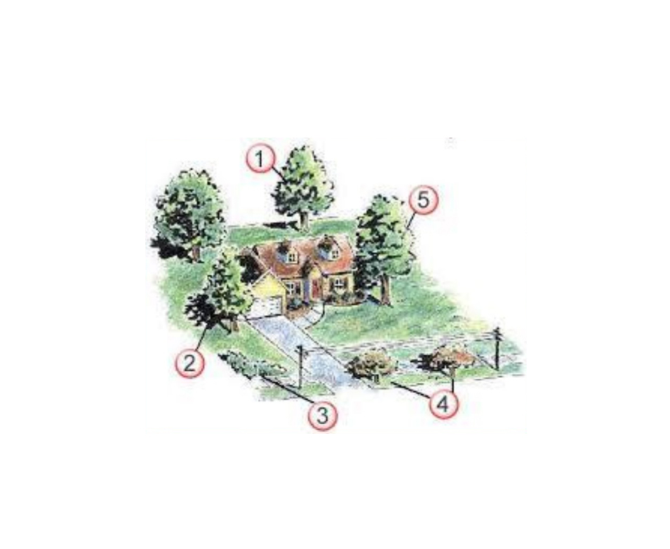 Site evaluation: Ground collecting data