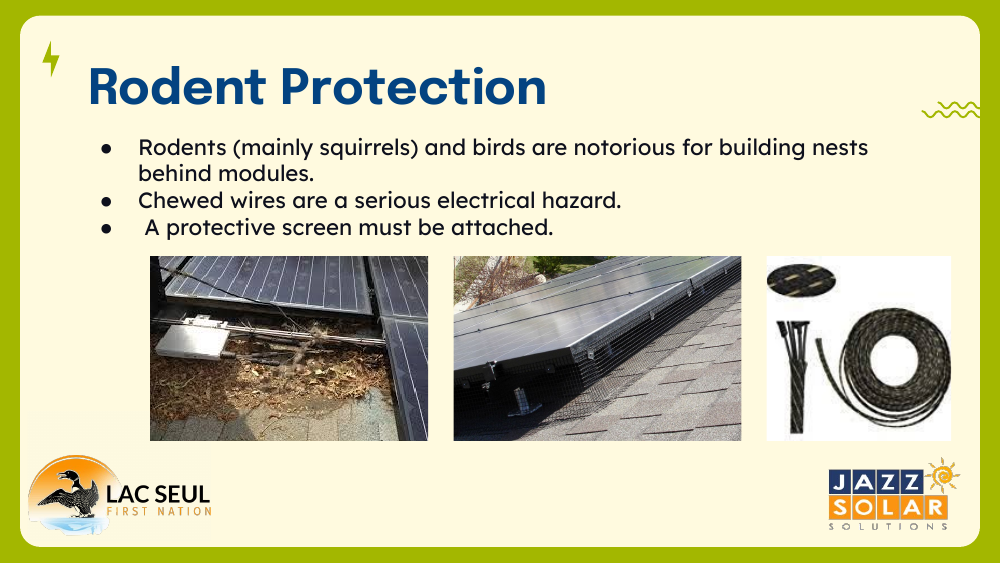 Photos of a bird nest behind solar modules, protective mesh screen installed along a module edge, and rolls of critter guard screen.