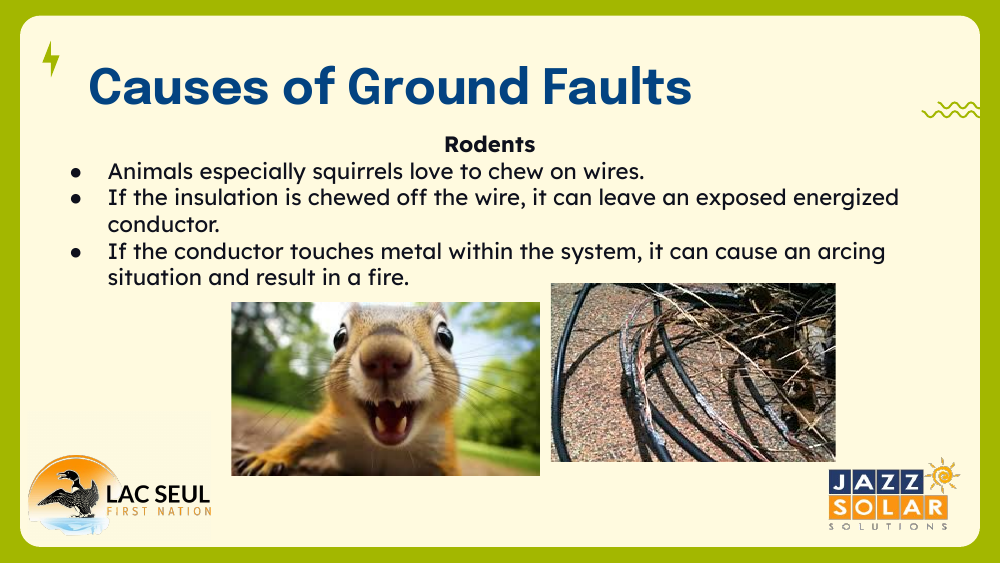 Photo of a squirrel beside a photo of wires with chewed and damaged insulation.